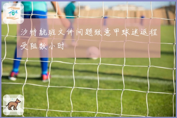 沙特航班文件问题致意甲球迷返程受阻数小时